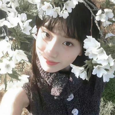 绝望主妇第五季